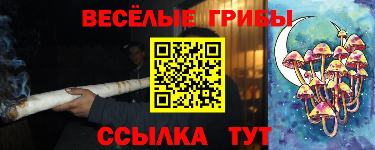 Советская Гавань  Псилоцибиновые грибы ЛСД  Вход с VPN 