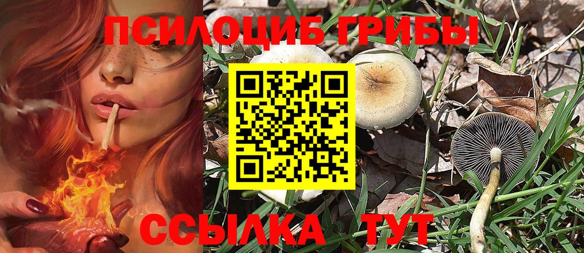 Псилоцибиновые грибы мухоморы Советская Гавань